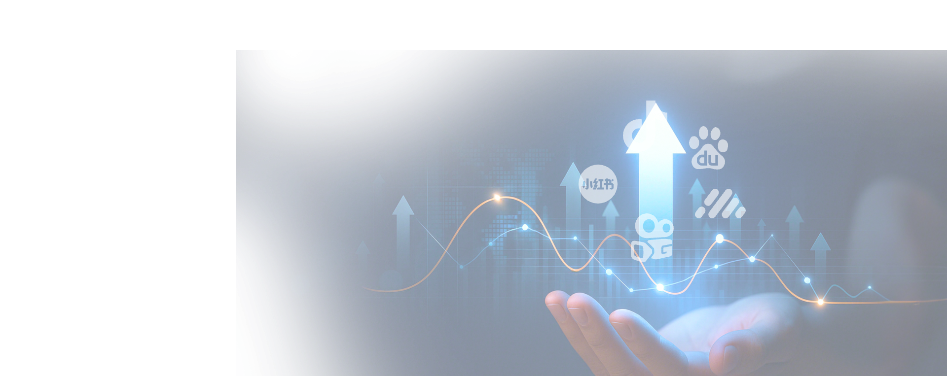 善语数科 banner